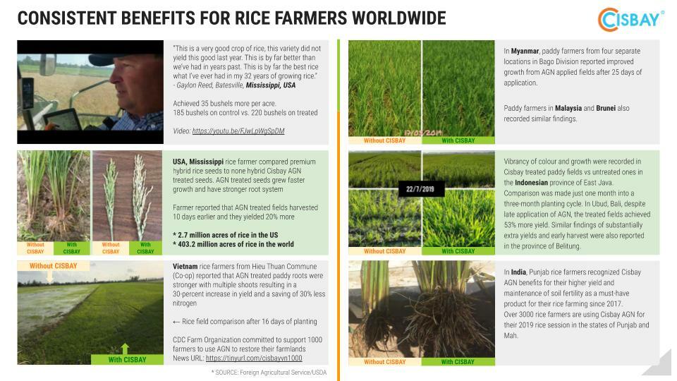 CISBAY AGN Soil Microbes - Enhance nutrient for long root plants 1 gallon