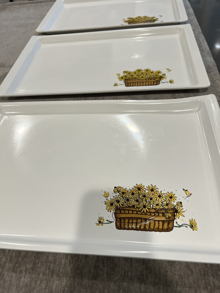 RARE Sterilite Trays-8