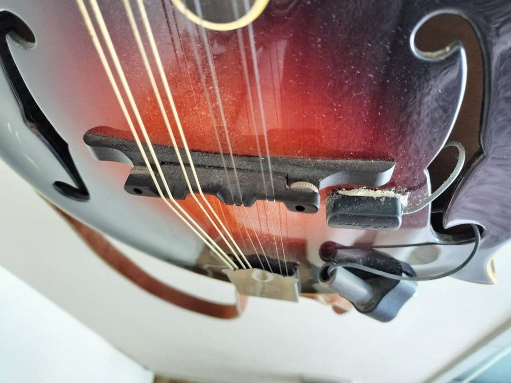 The Loar flat mandolin