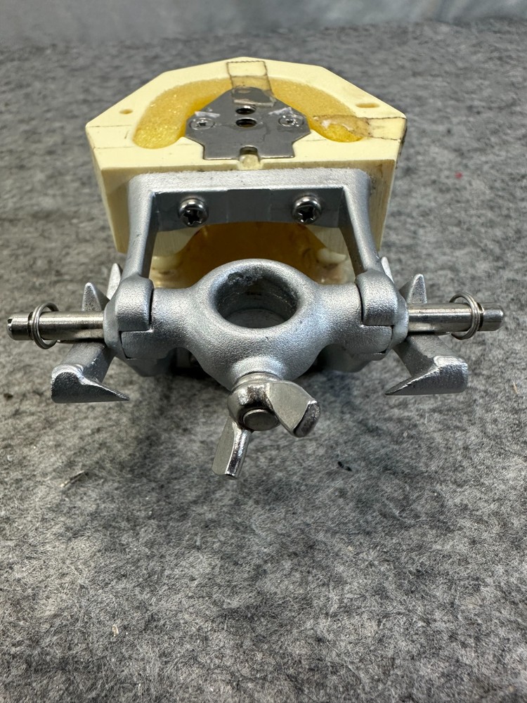 Perio Trainer Dental Model with Hinge Clear Composite gums