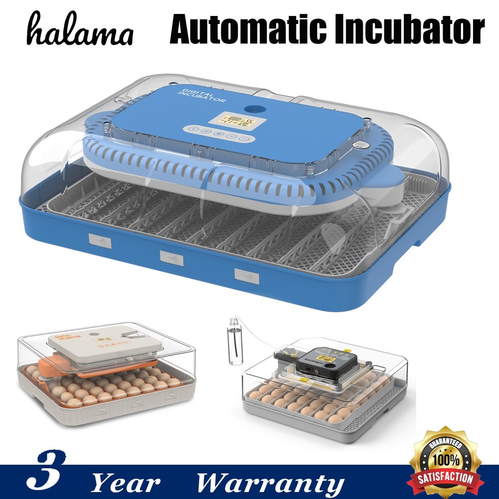 48/56/70 Eggs Automatic Egg Turnning Incubator Digital Poultry Hatcher Machine