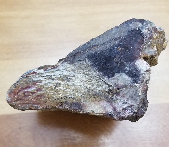 PETRIFIED WOOD 1.10 LBS