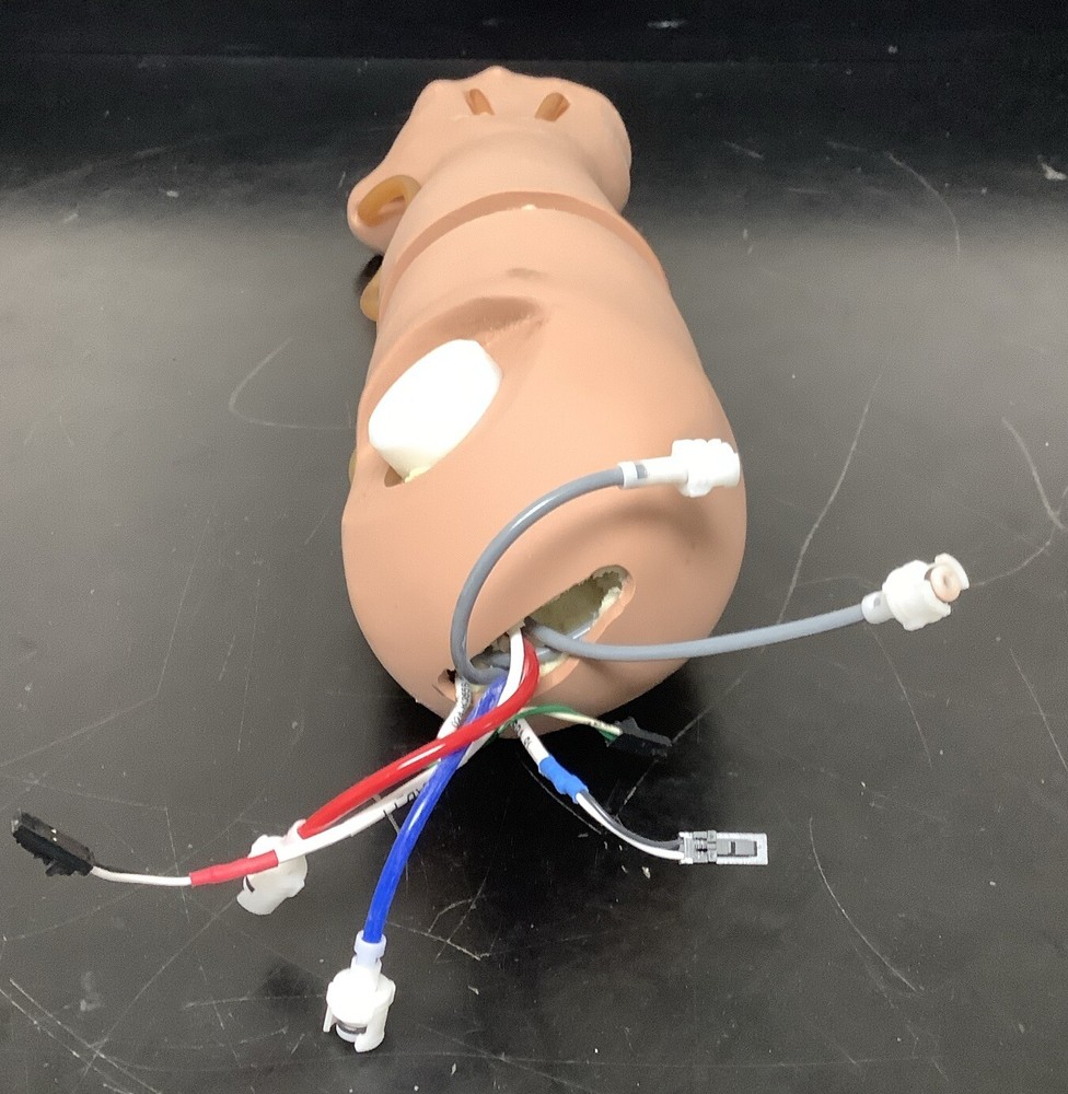 Child Pediatric Multi-Venous IV Training Arm