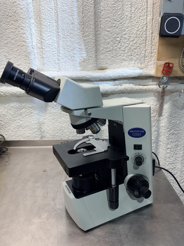 Olympus CX31 Microscope CX31RBSF Width Objectives
