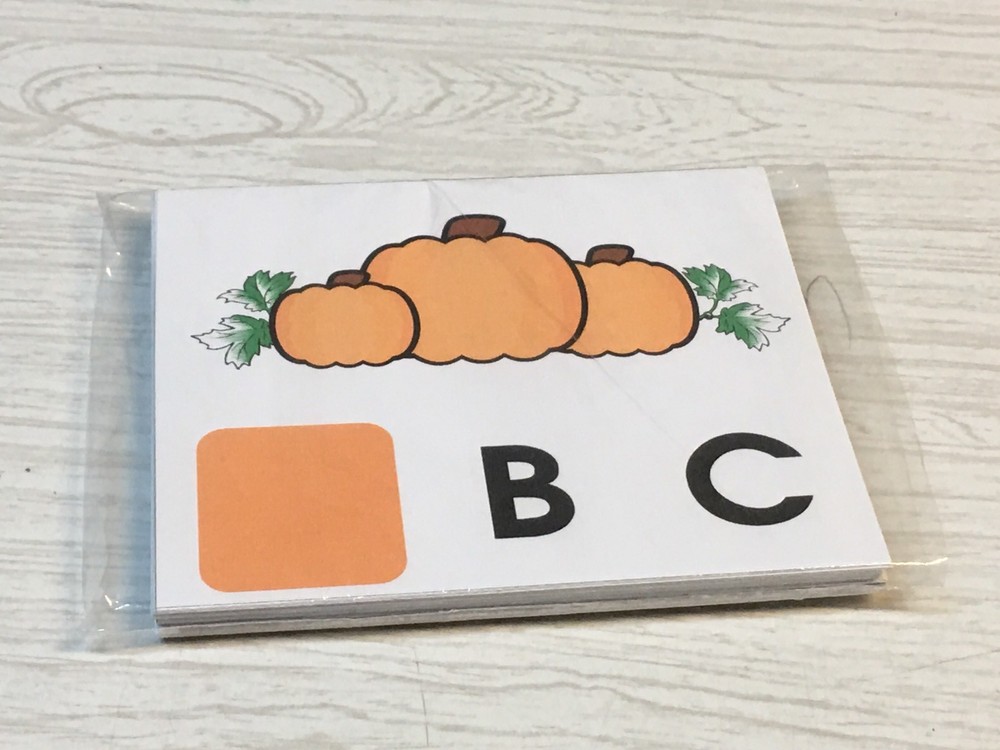 Pumpkin Patch Dry Erase - Laminated Activity Set - Missing Letters