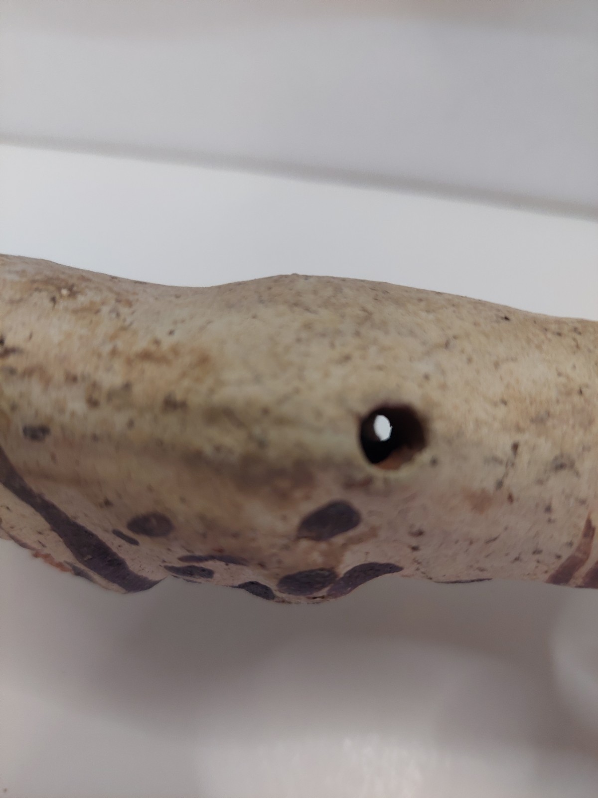 Pre-Columbian Chancay Peruvian Slip Painted Pottery Cuchimilco Figure 1200-1450