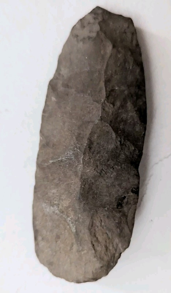 AXEHEAD NEOLITHIC STONE CHISEL TOOL CELT ADZE BLADE TUAREG ARTIFACT NIGER ETHNIX