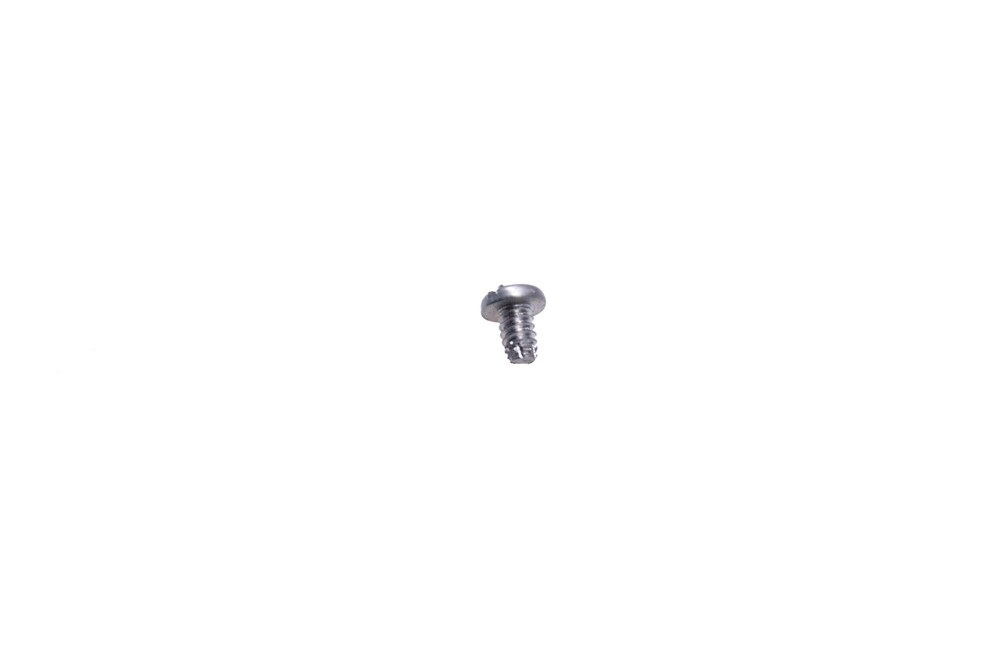 OMC 308873 Screw NOS