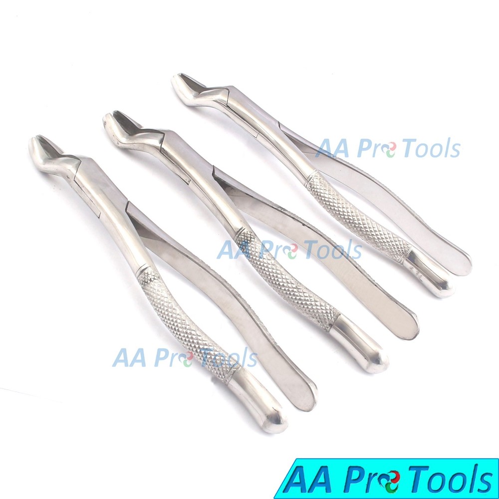 3 Pcs Tooth Extracting Forceps 53L, Extraction Forceps, Dental Hand Instruments