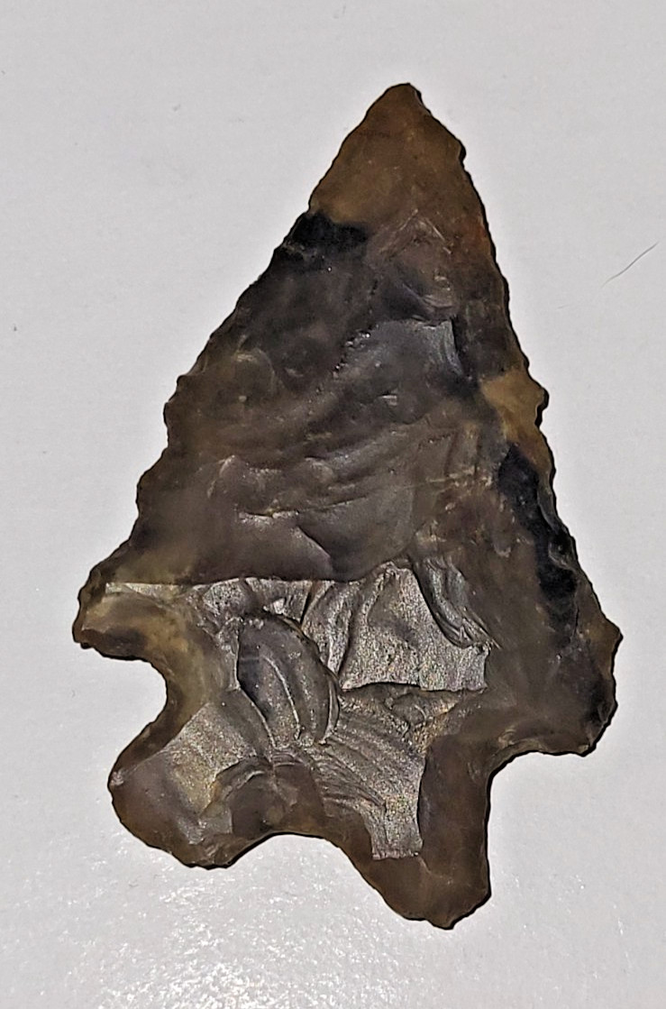 Sharp American Arrowhead Artifact Buck Creek Point? Jasper? Veined Arrow Head