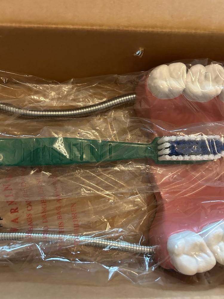 Oversized Dental Demonstration Model Includes Large Tooth Brush & Hinged Gums