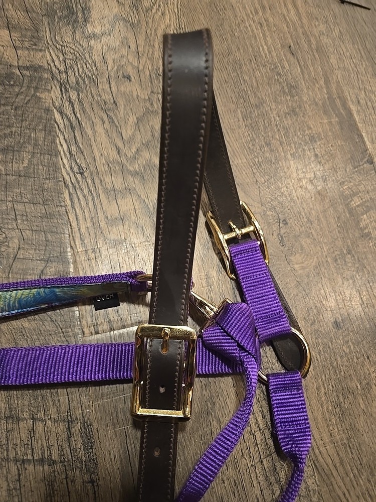 Horse Halter Oversize