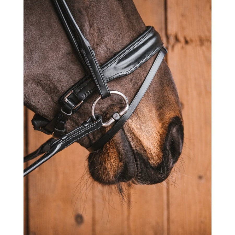 Fager Alice Titanium Fixed Ring Bradoon 14cm