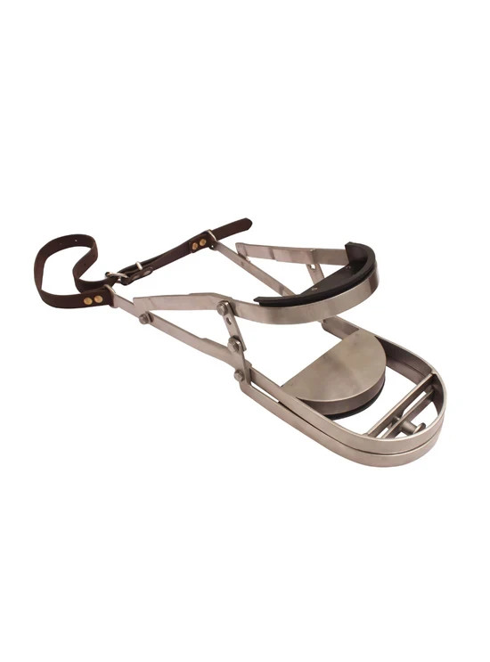 Camel Dental Speculum Set