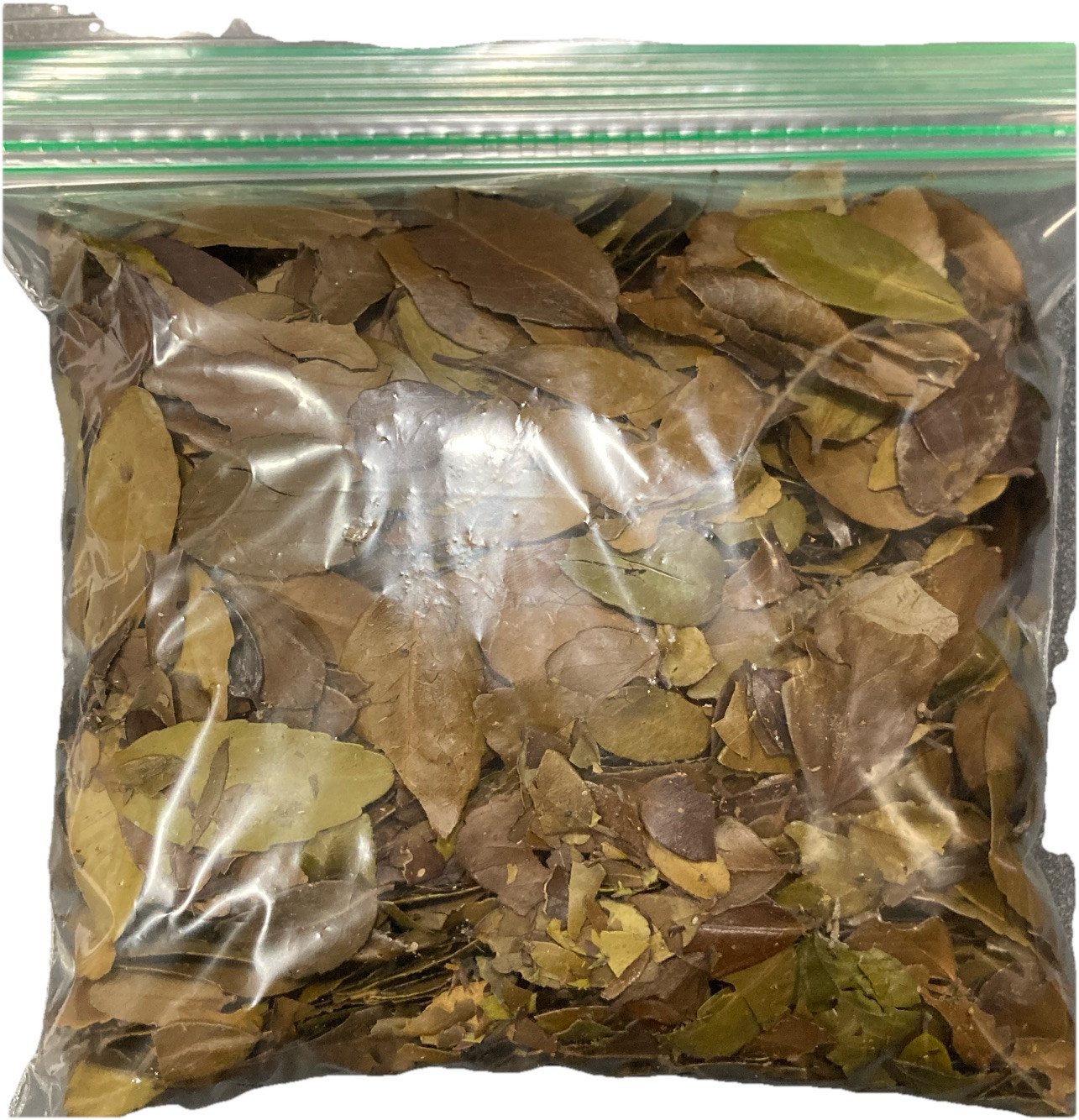 100% Organic Yaupon Tea from Texas-50g (~2 oz.), Medium Roast (whole leaf)+bags