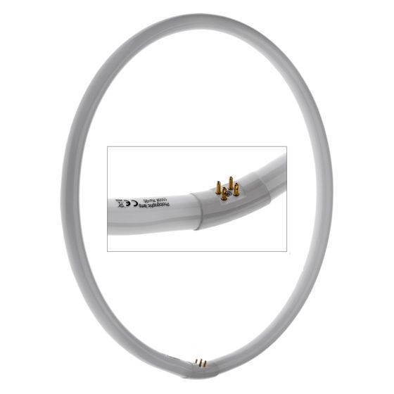 hare FRC-RLSL Fluorescent 19" Ring Light with Dimmer