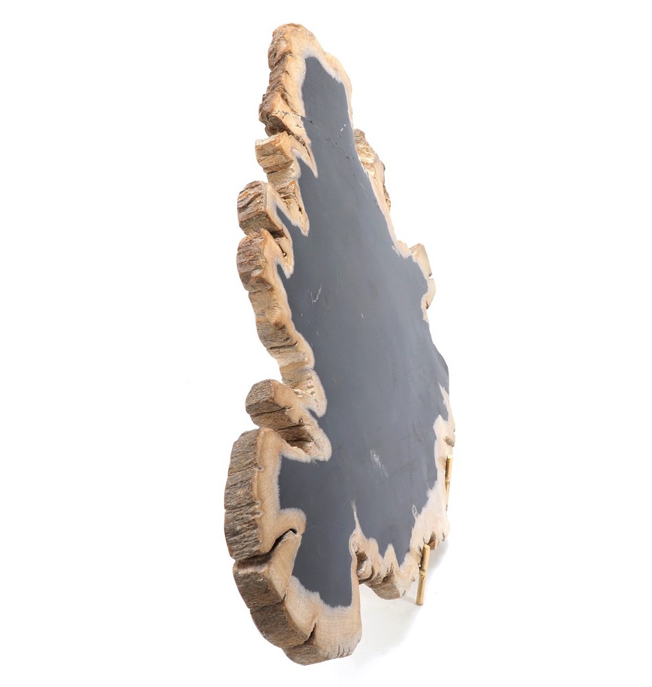 Petrified Wood Specimen with Deep Black Core