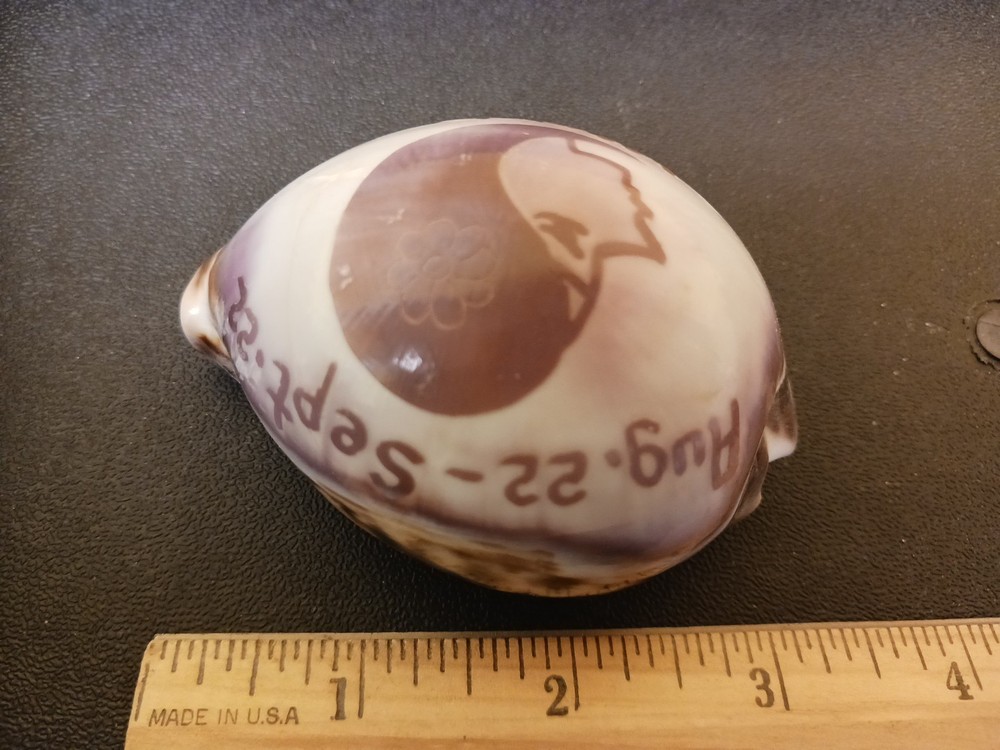 Virgo Seashell Decorative Zodiac Astrology Shell