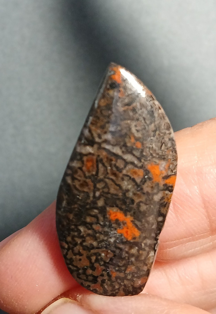 Dinosaur Bone Cabochon - Red, Red Cells!!!