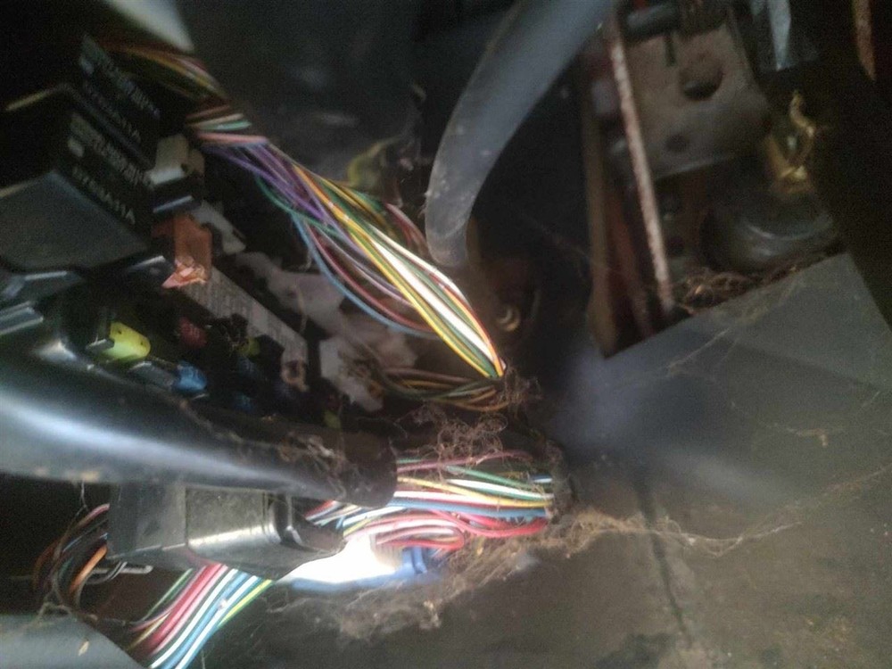 TRACKER   2003 Fuse Box Cabin 6701