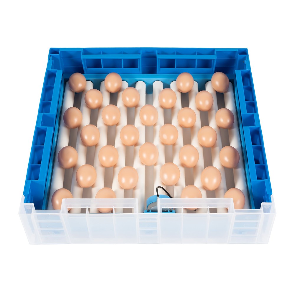 48 egg incubators with fully automatic function and dual power supply 110V