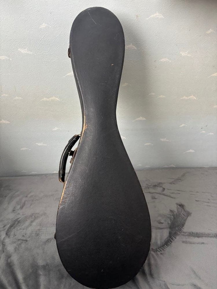 KUNISHIMA wood grain 8 string mandolin with case