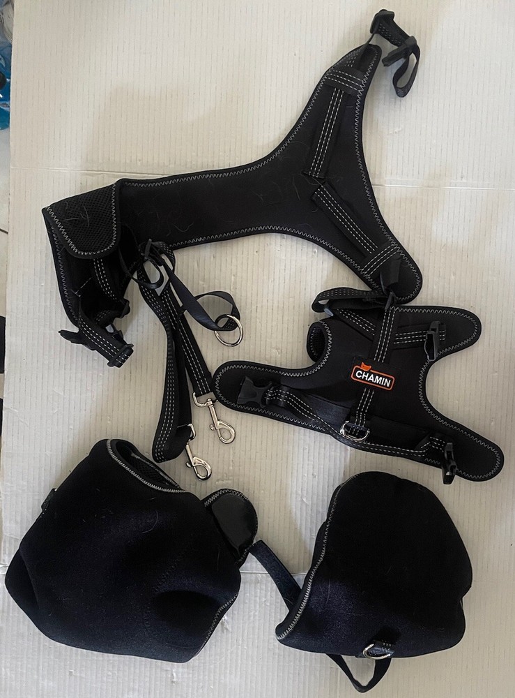 Dog Hip Support Brace