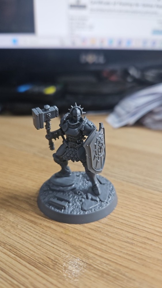 NEW STORMCAST ETERNAL LIBERATORS SPRUCE
