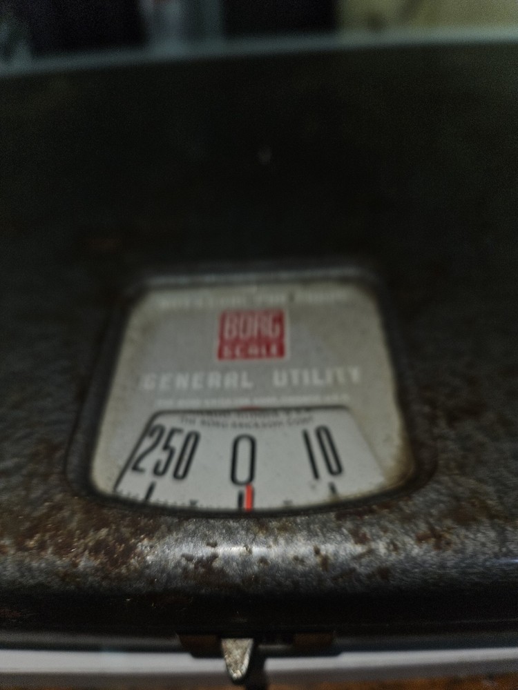 Vintage Borg General Utility Scale. Chicago IL.