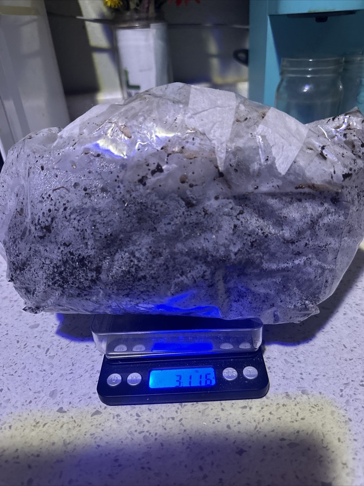 Mushroom Manure Soil