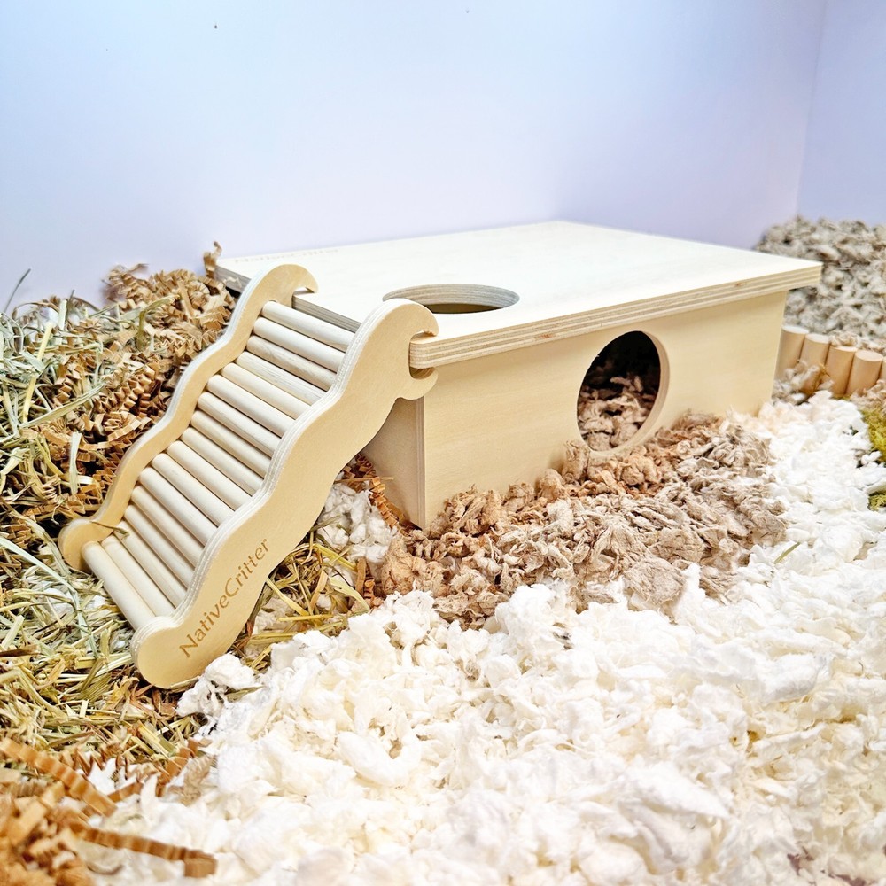 Wave Ladder - Fun & Unique Cage Accessory for Hamsters, Gerbils, Mice, etc