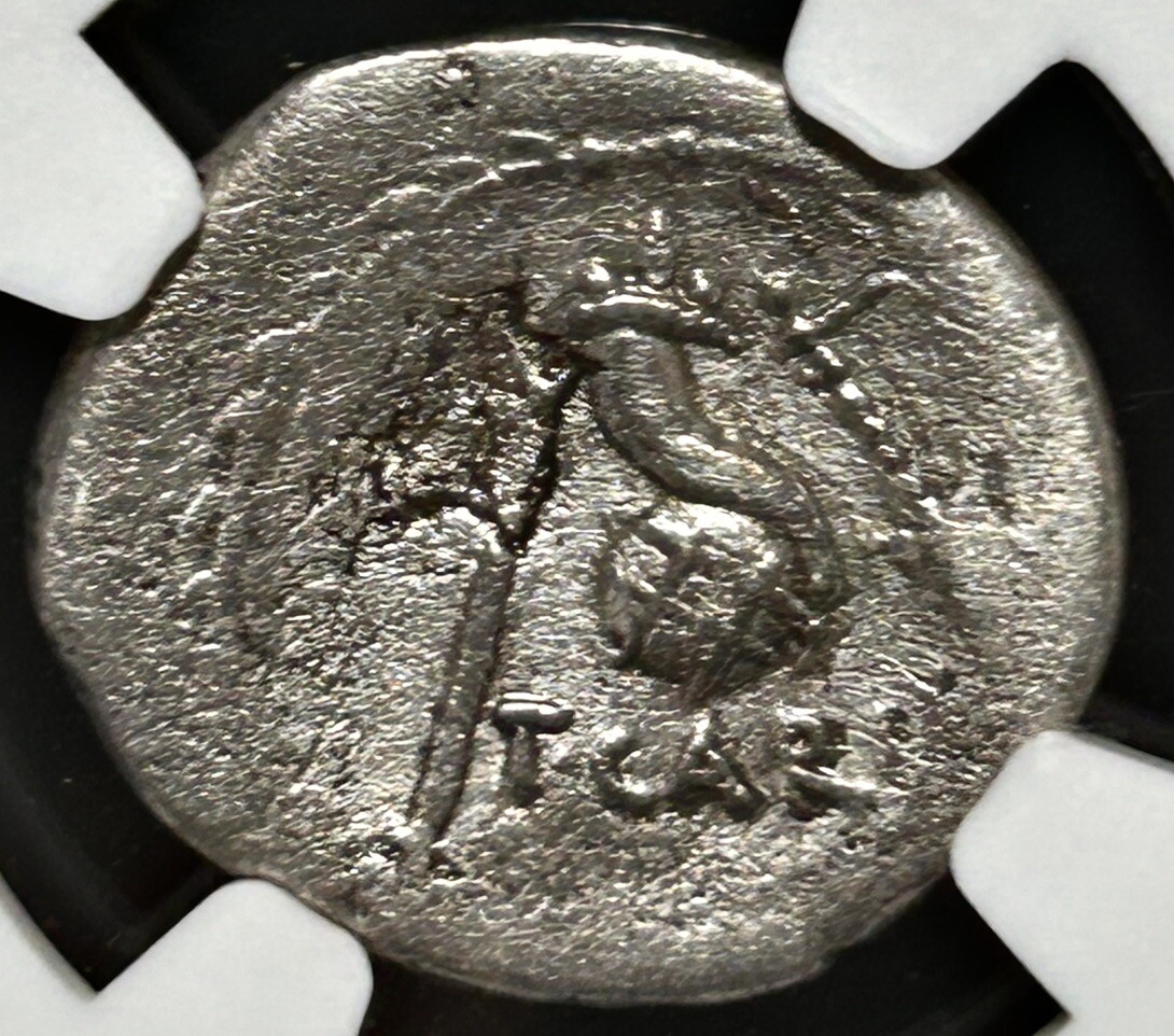 Roman Imperatorial Carisius AR Denarius 46 BC Sceptre Cornucopia Globe NGC VG