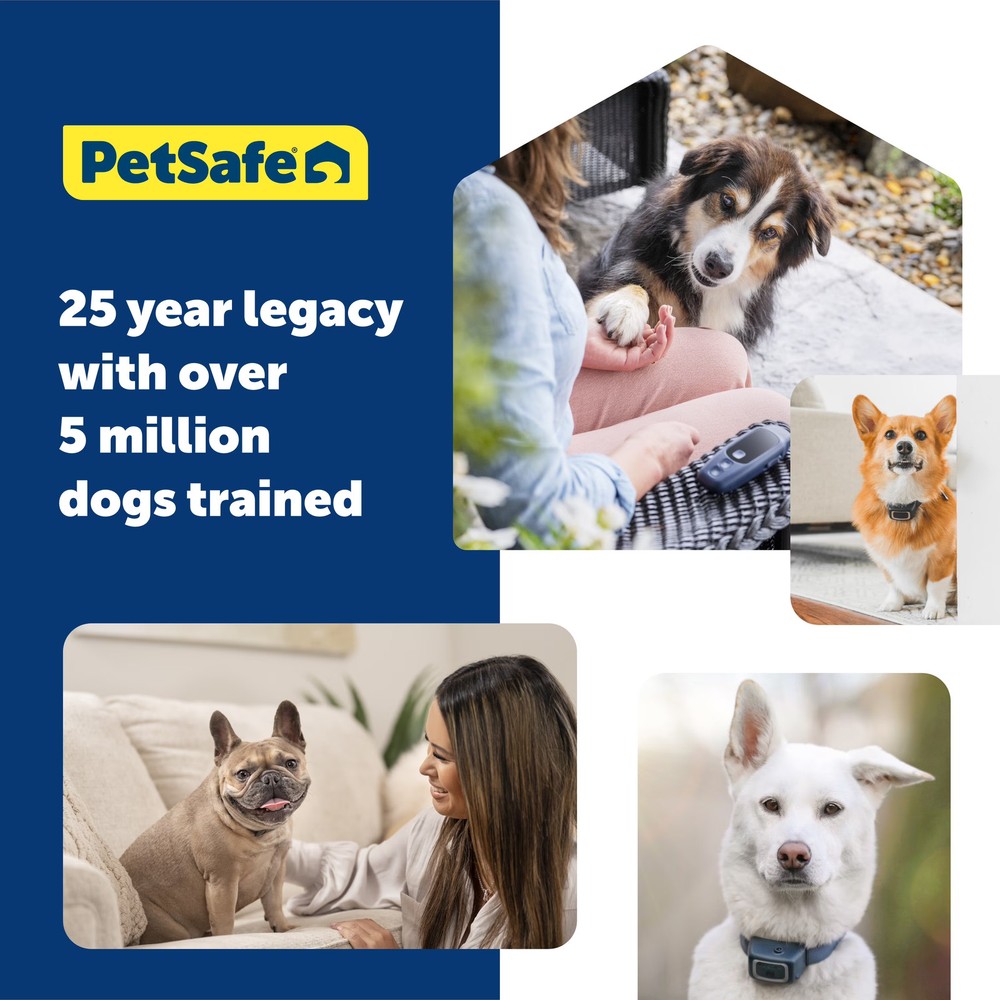 PetSafe Basic Dog Trainer with Remote – 300 ft Range – Tone