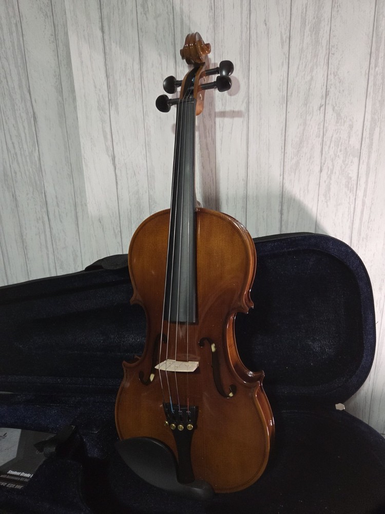 Pyle Solid Wood Violin Stringed Instrument-Student Grade Violin w/ Accessory Kit