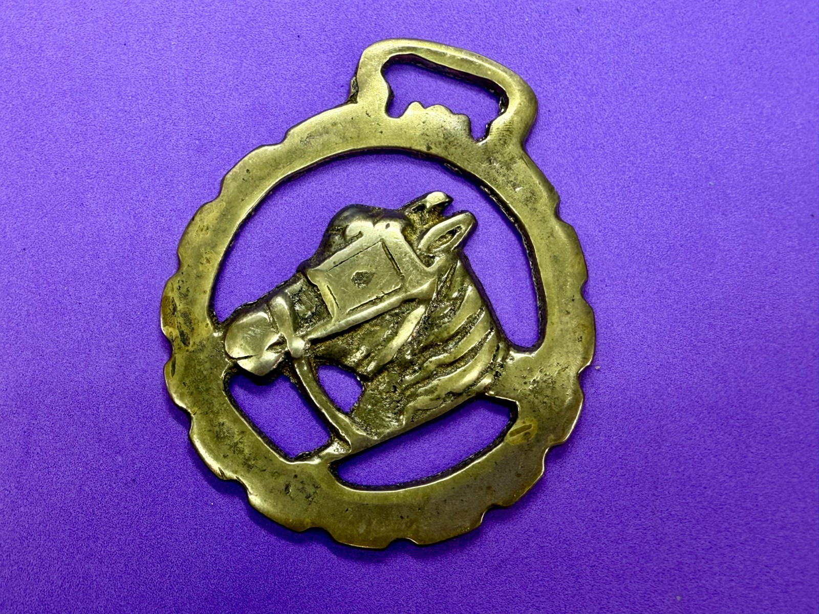 Horse Head with Blinkers Openwork Bridle Harness Saddle Medallion