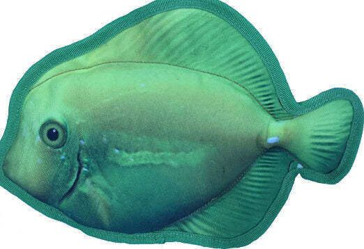 11" Tropical Surgeonfish