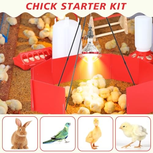 9 Pack Winter Chicken Brooder Box Starter with Heating Plate and 75w Heat
