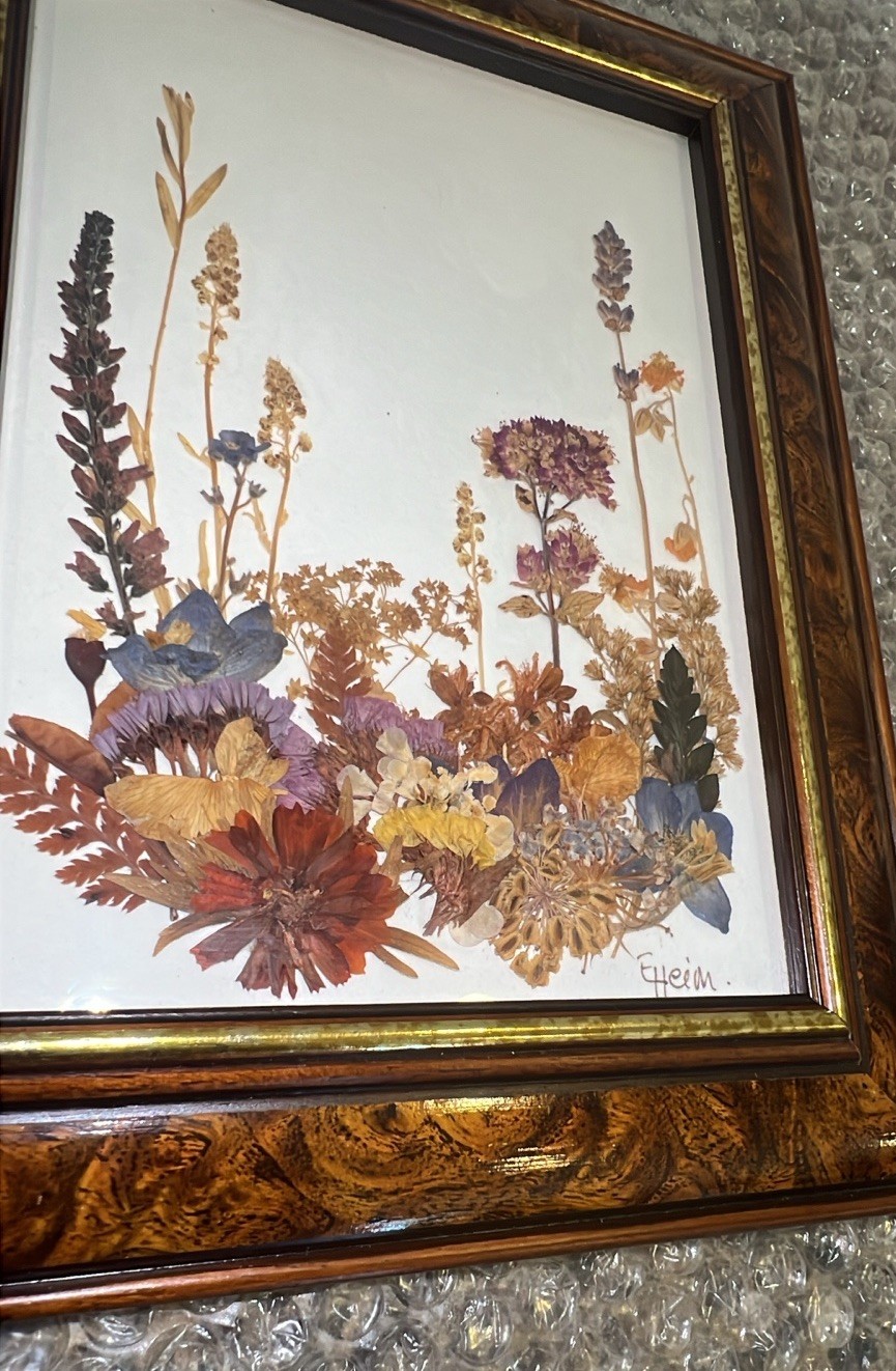 VTG Real Pressed Flower Specimens Framed With Glass Folk Art Wall Hanging Signed