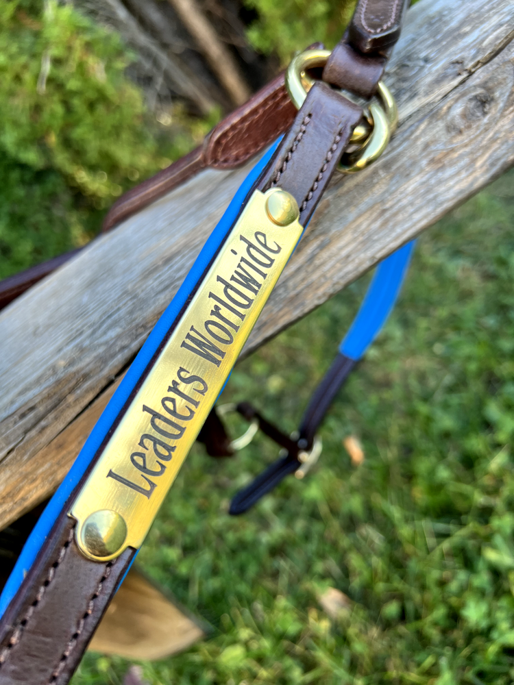 Leaders 3/4" Leather Halter Royal Blue Padding with Solid Brass Hardware
