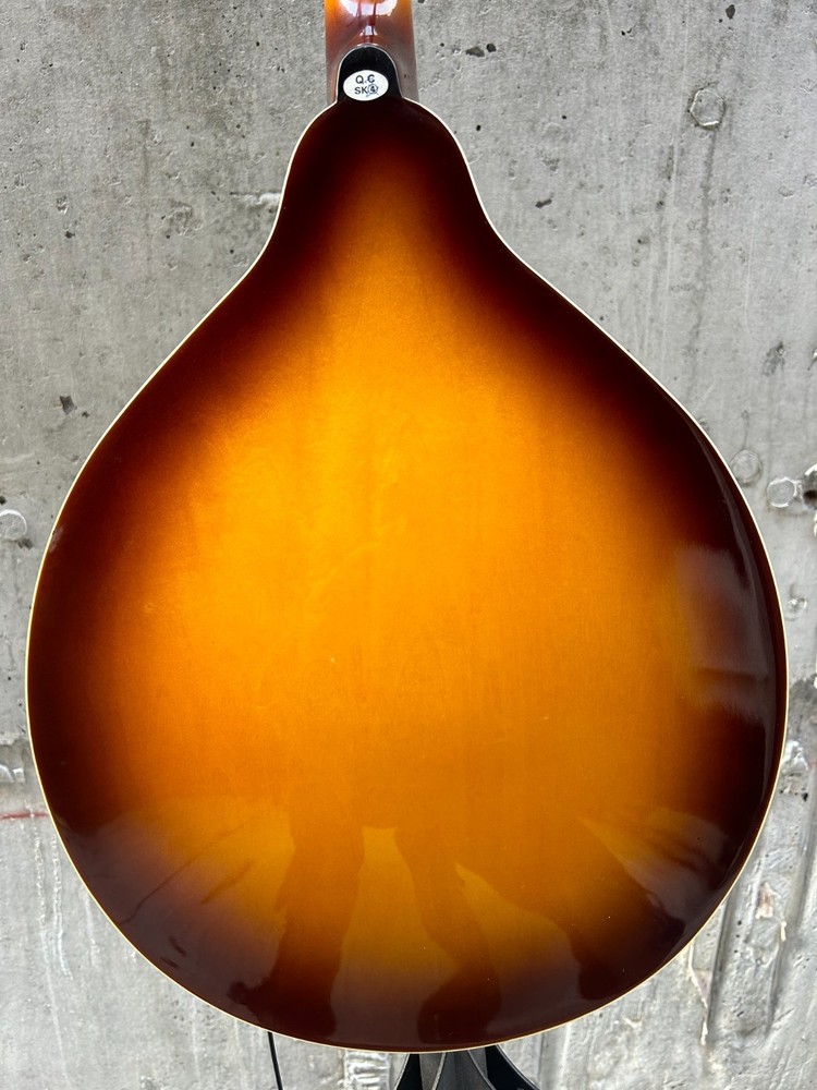 Savannah so-sa090-tsn Mandolin 8 string with Pickup (read)