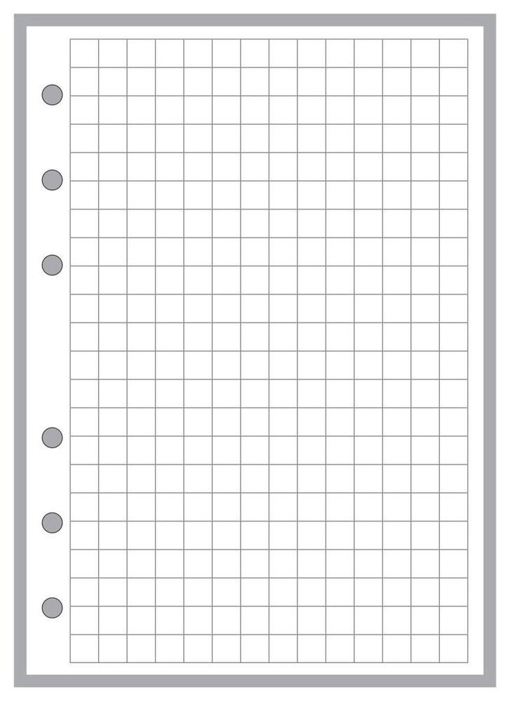 A6 Size 1/4" Graph Paper Planner Insert, for 6-Ring Binders (4.1" x 5.8"). Th...