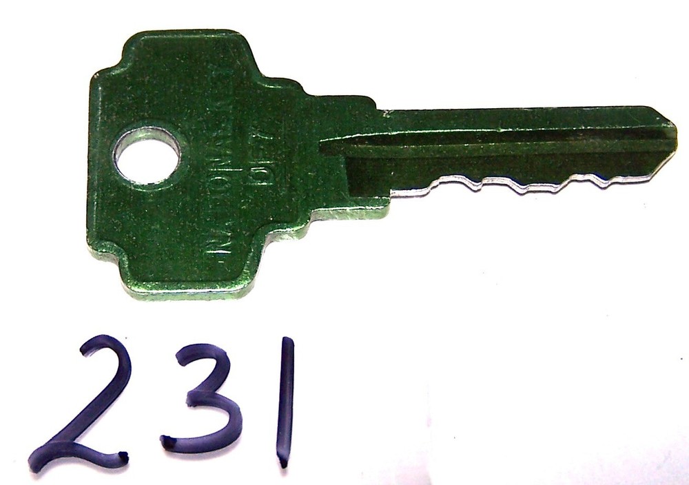 Vintage Key (231)