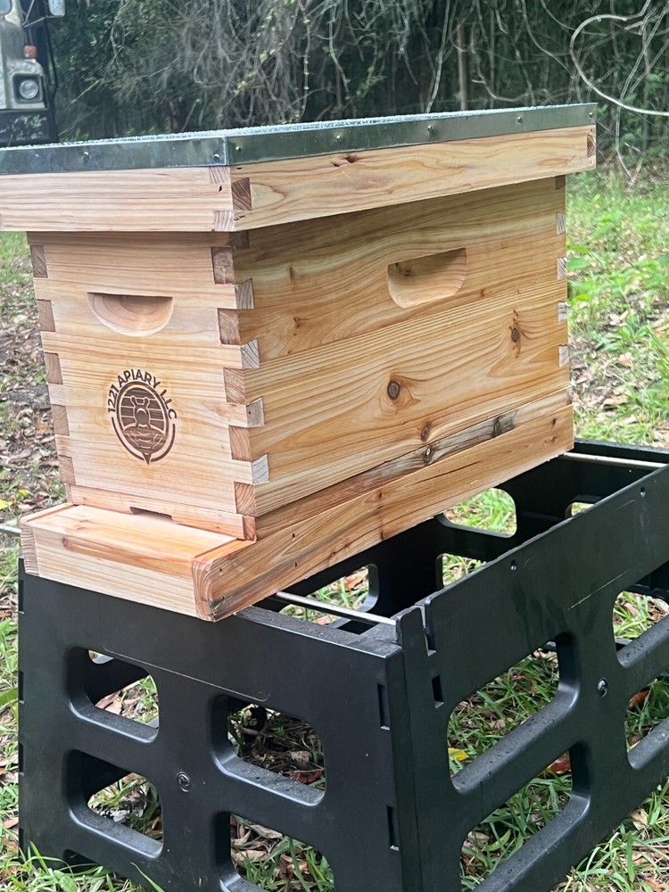 5 frame NUC beehive complete beehive kit