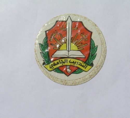Syrian Army sleeve patch. School