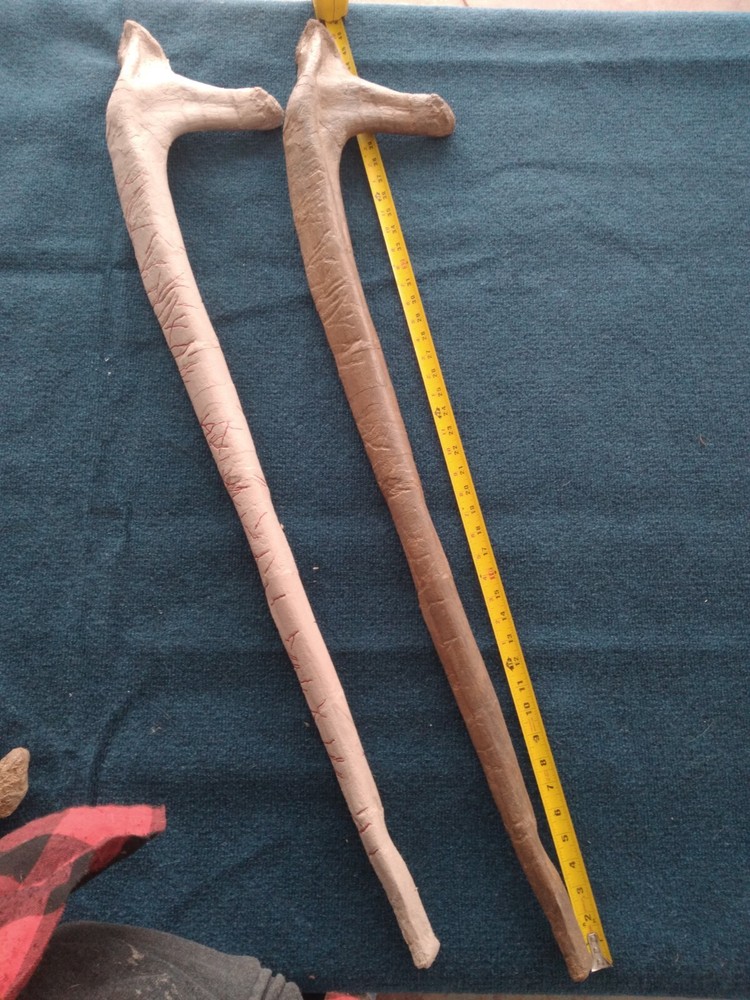 Triceratops Rib with Pathologies! cast replica