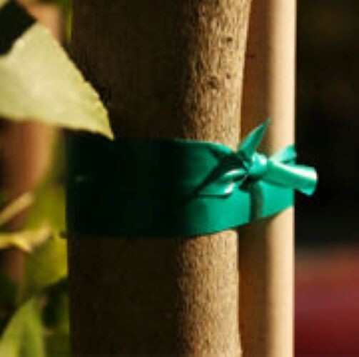Plant Tape 150' x 1/2"