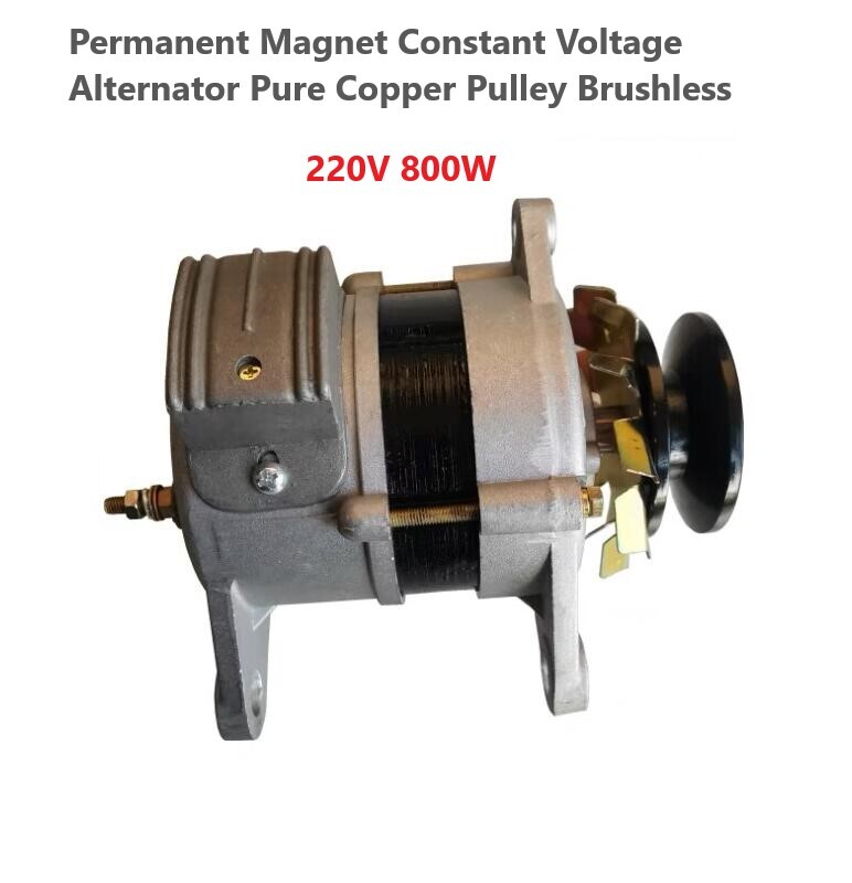 Constant Voltage 220V 800W Permanent Magnet Brushless Pure copper Generator