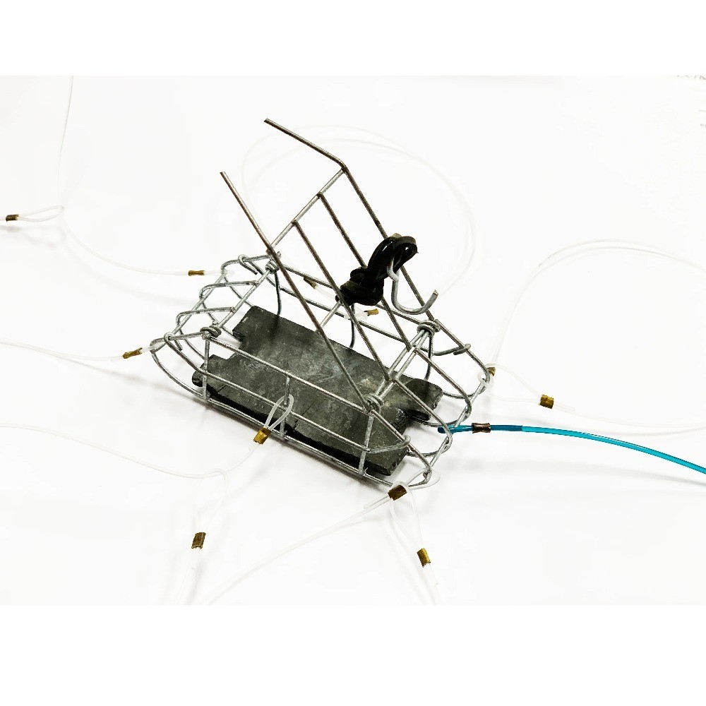 (2 pack) Weighted Crab Snare Trap