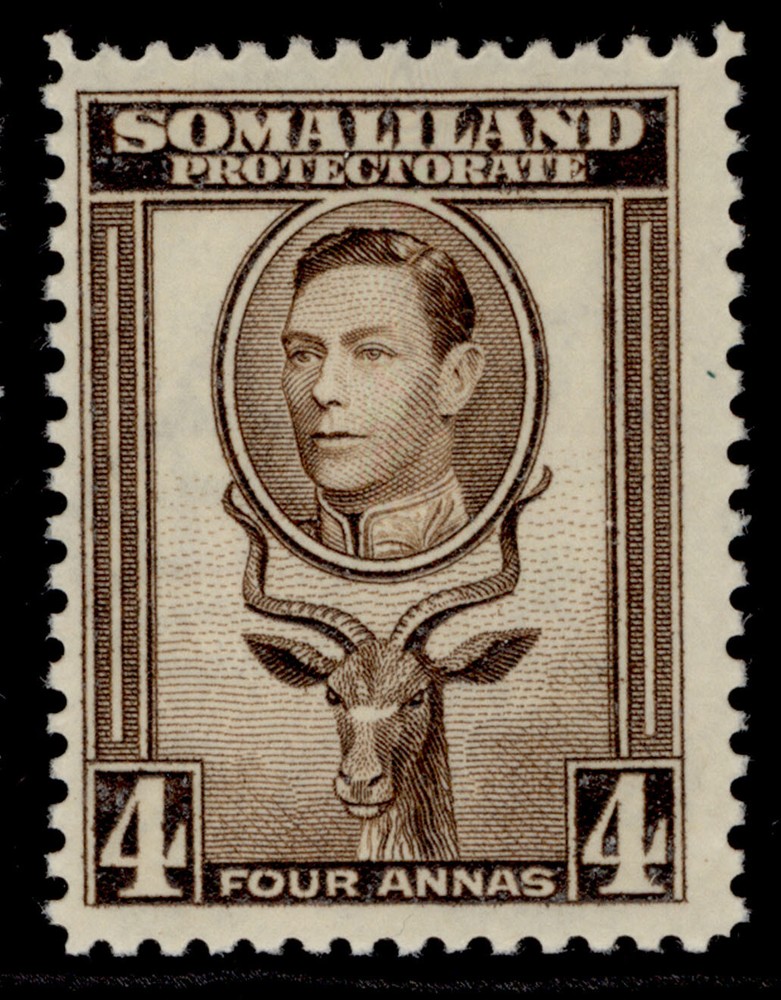 SOMALILAND PROTECTORATE GVI SG97, 4a sepia, VLH MINT.