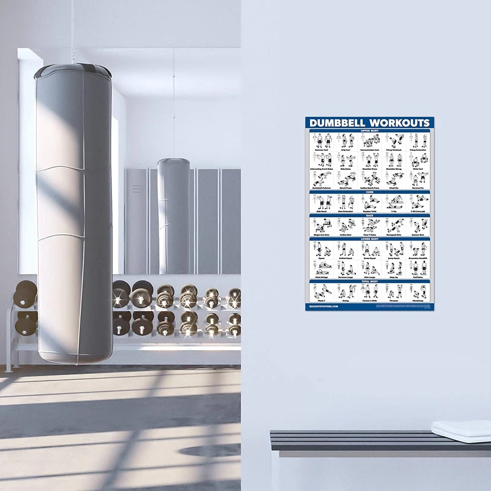Quickfit 2 Pack Dumbbell Workout Exercise Poster - Volume 1 & 2 - LAMINATED 18"